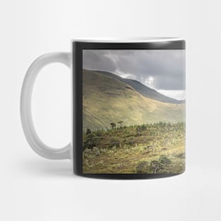 'Old Scots Pines', Glen Lyon, Perthshire. Mug